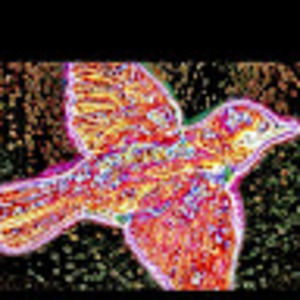 Meet your Posher, Jesse b